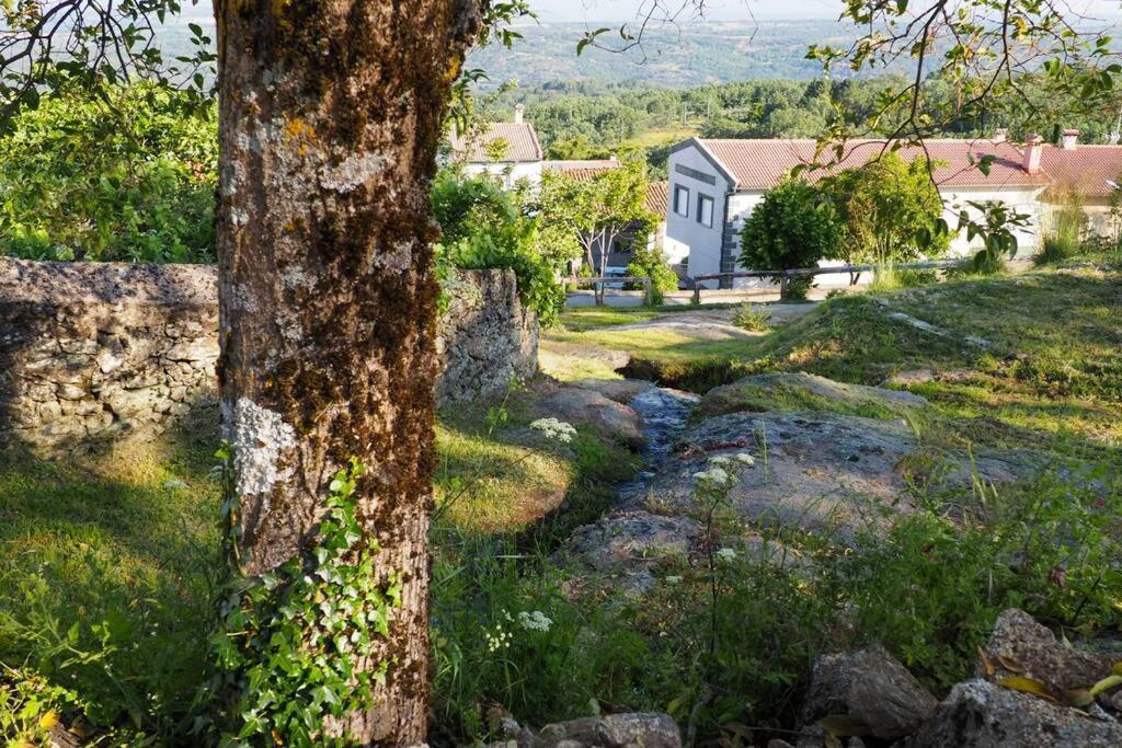 El Bosque De Los Romanos Apartman Puerto de Béjar Kültér fotó