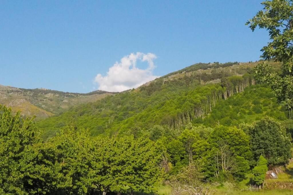 El Bosque De Los Romanos Apartman Puerto de Béjar Kültér fotó