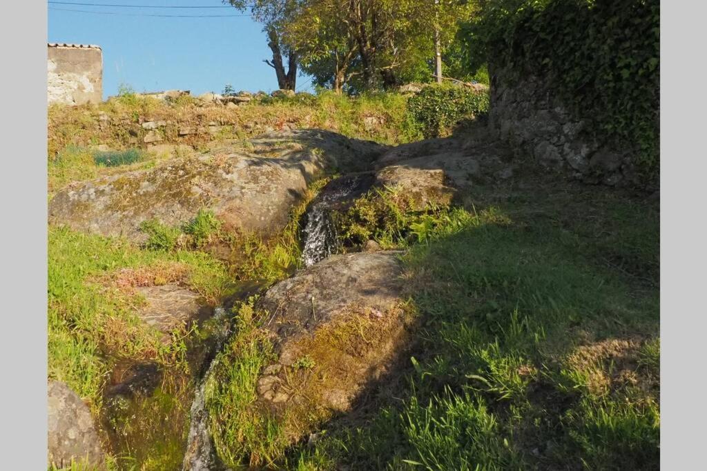 El Bosque De Los Romanos Apartman Puerto de Béjar Kültér fotó